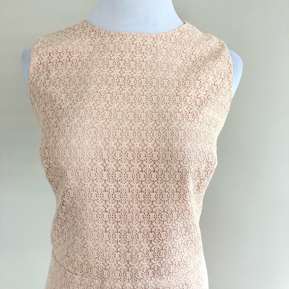 Jill Stuart Open Back Drop Waist Pink Blush Dress Ruffle Hem M 10 NWT - Picture 5 of 6